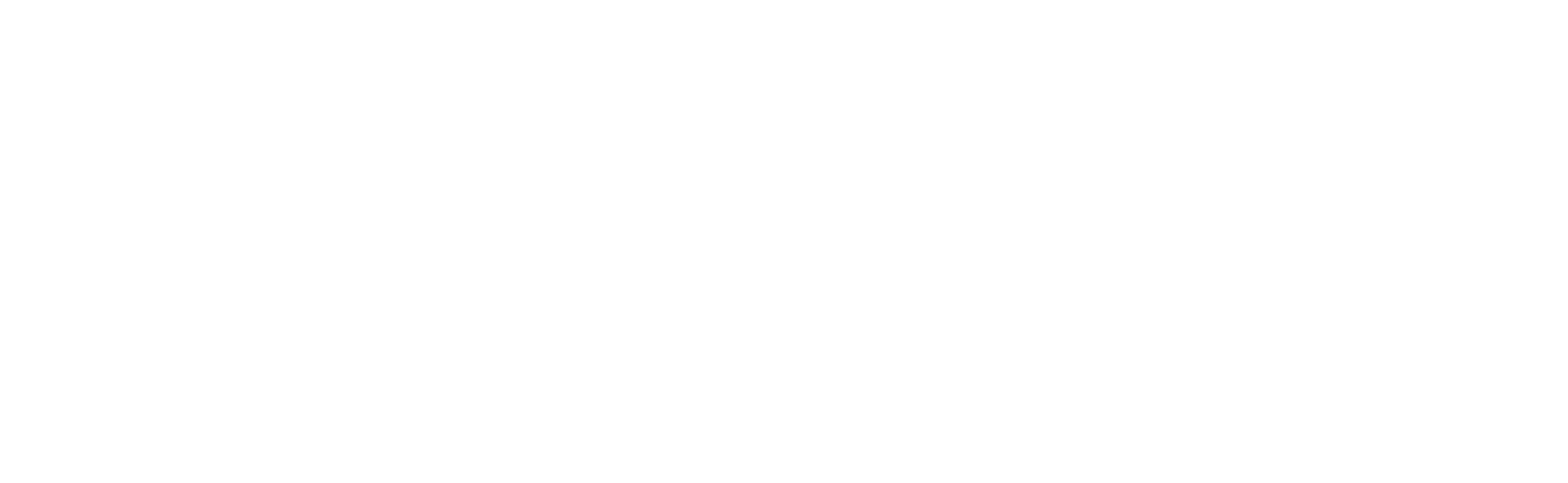 Rechtdoorzee Coaching